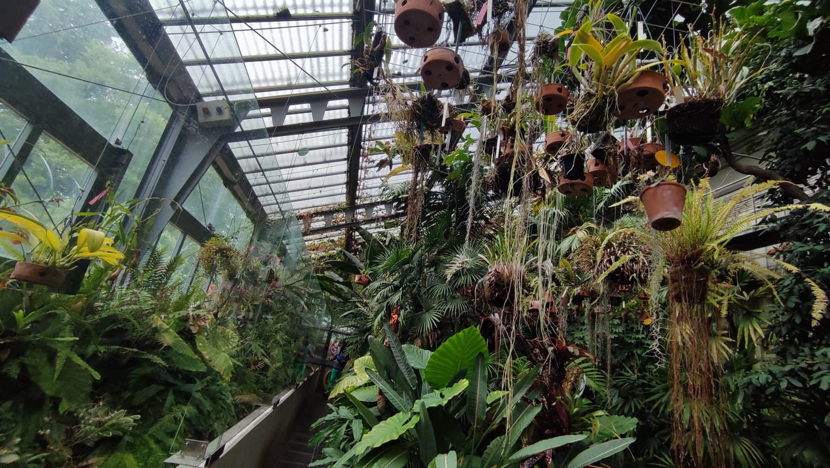 IMG-20230430-WA0065